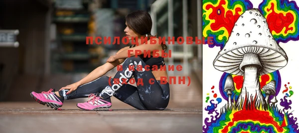 СК Алексеевка
