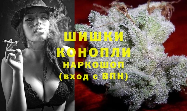 Альфа ПВП Алзамай